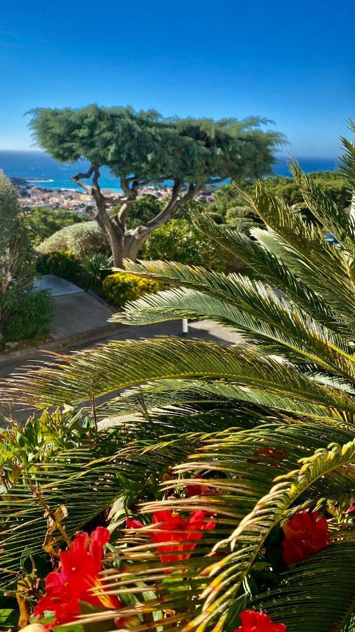 Superbe Vue Et Piscine *